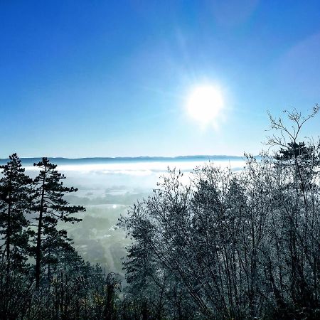 Appartement La Bernardine Au Coeur Du Jura Orgelet Экстерьер фото