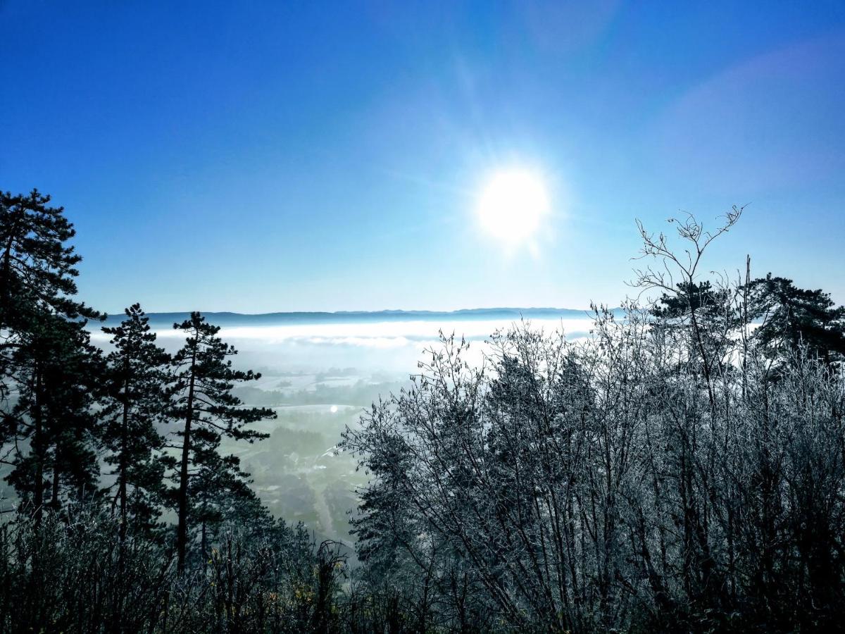 Appartement La Bernardine Au Coeur Du Jura Orgelet Экстерьер фото